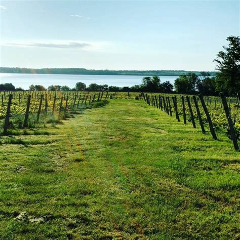 Greenvale vineyards - "Greenvale Vineyards is a sixth generation farm producing small quantities of exceptional estate-grown wines. Settled along the Sakonnet River, our vineyard and tasting room experience integrates stunning wines on a breathtaking landscape" New Wine Releases. 2021 Greenvale Select Chardonnay.